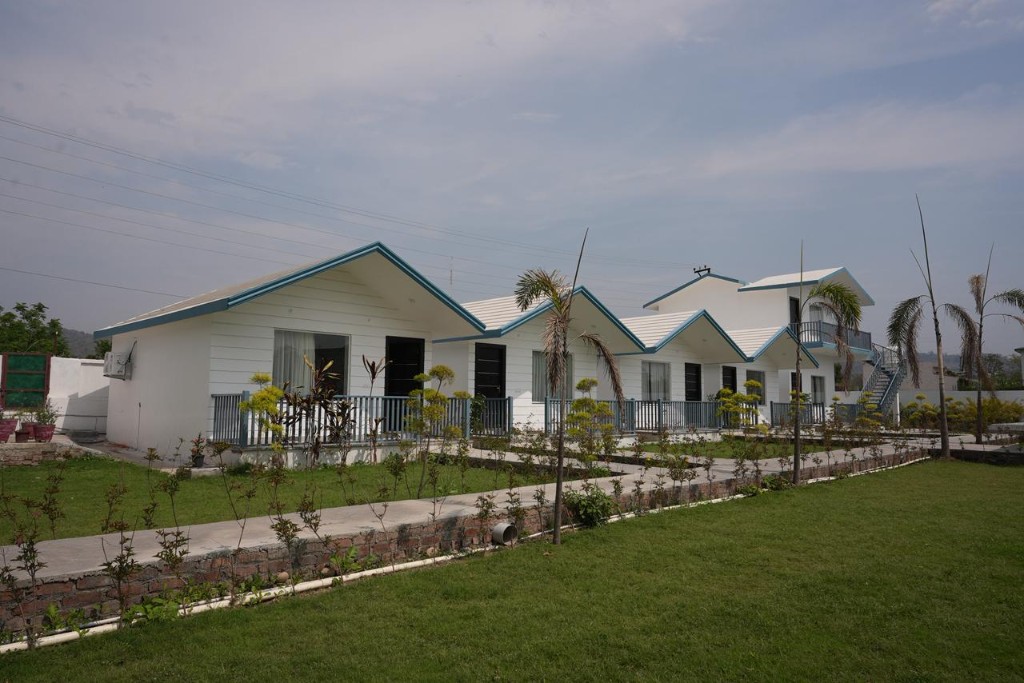 Row of white single-storey cottages with blue porch railings